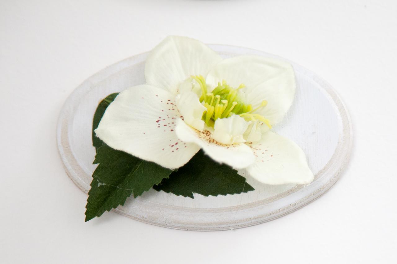 B&B Rosaly 산 카탈도 외부 사진